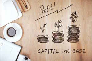 market capitalization