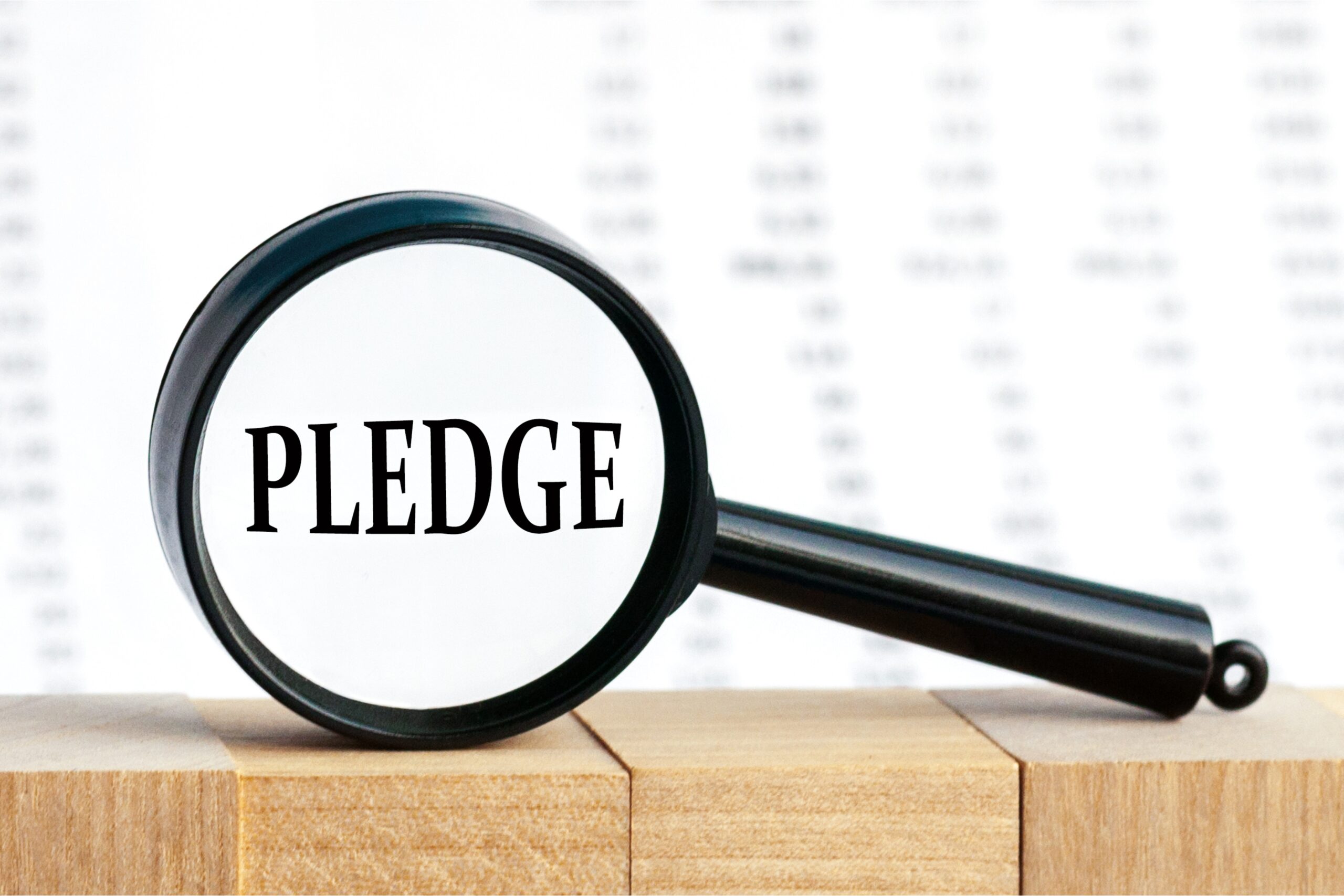pledge